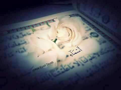 bntpal.com_145845612
