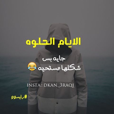  bntpal.com_145854595