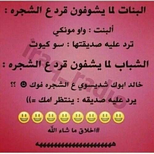  bntpal.com_145854600