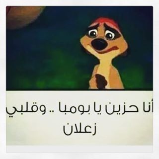 bntpal.com_145862478