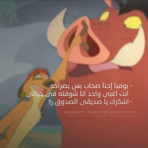 bntpal.com_145862478