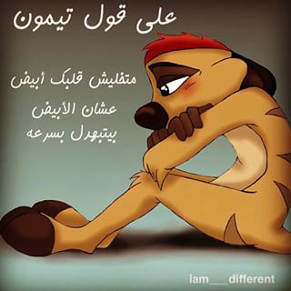 bntpal.com_145862478