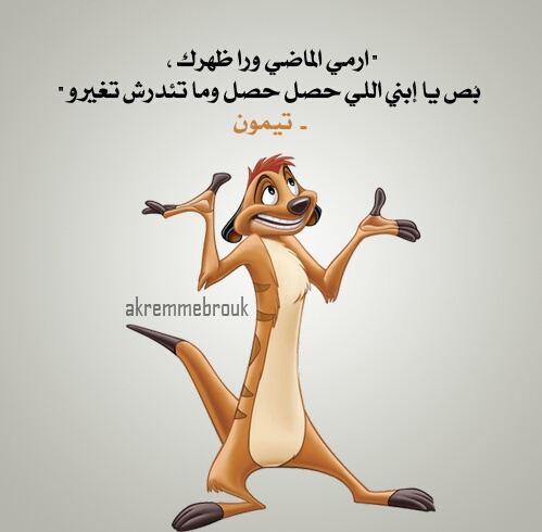 bntpal.com_145862478