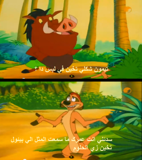 bntpal.com_145862478