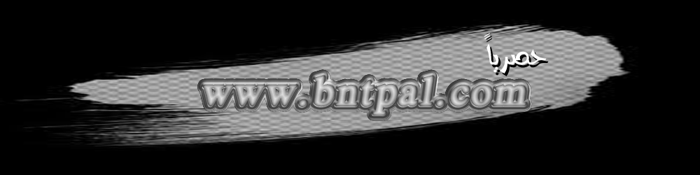 bntpal.com_145863507