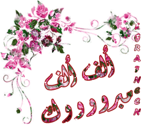  bntpal.com_145873526