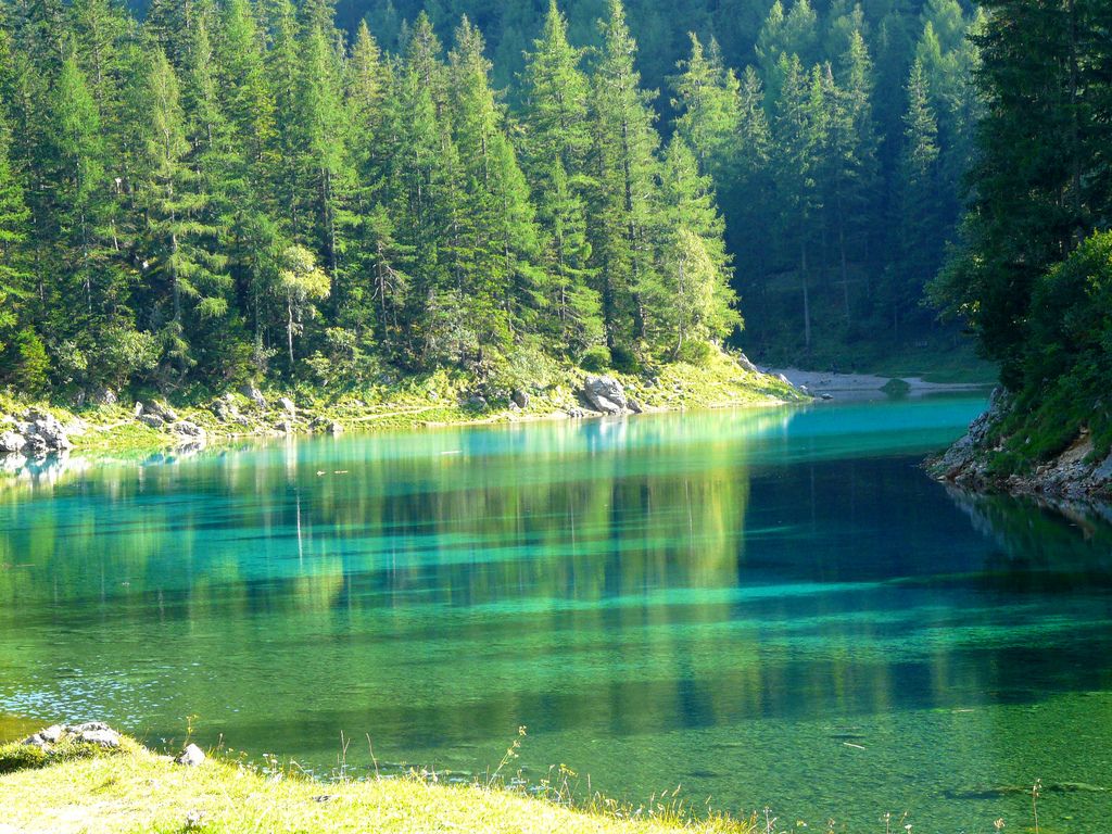 Gruner   bntpal.com_145891779