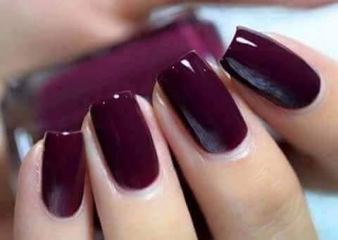  bntpal.com_145898334
