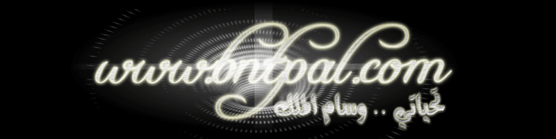 bntpal.com_145906915