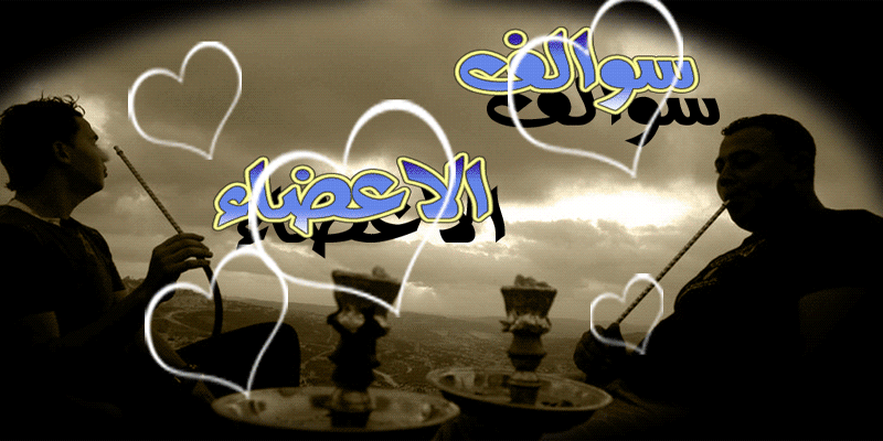 bntpal.com_145923524