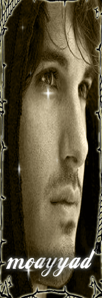 bntpal.com_145933431