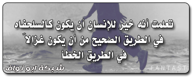  ☺ bntpal.com_145944016