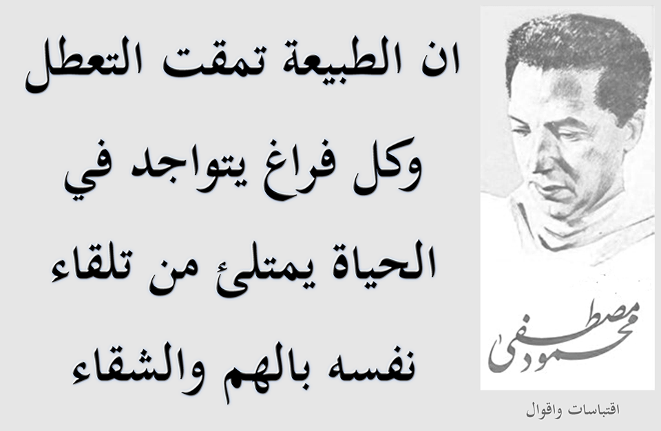  bntpal.com_145944373