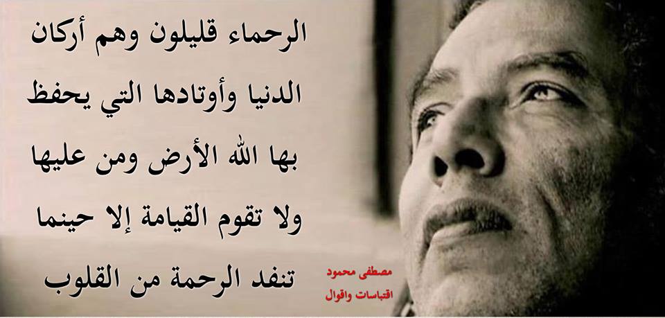  bntpal.com_145944373