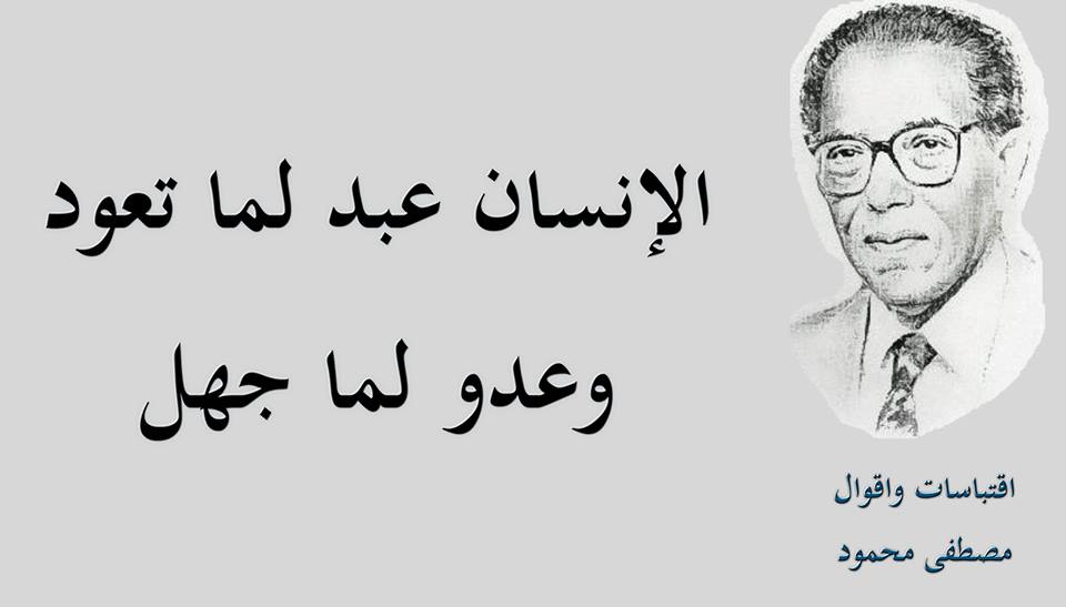  bntpal.com_145944373