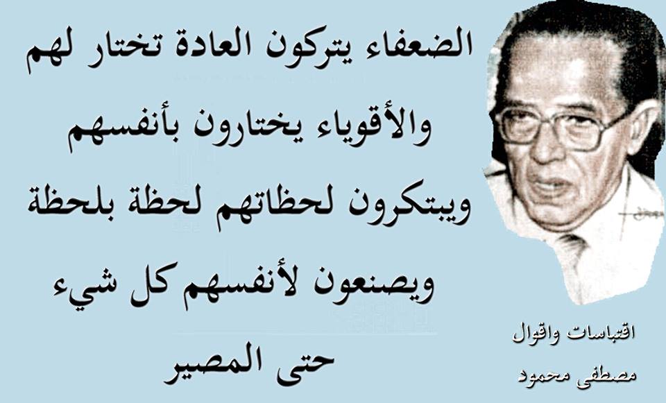  bntpal.com_145944373