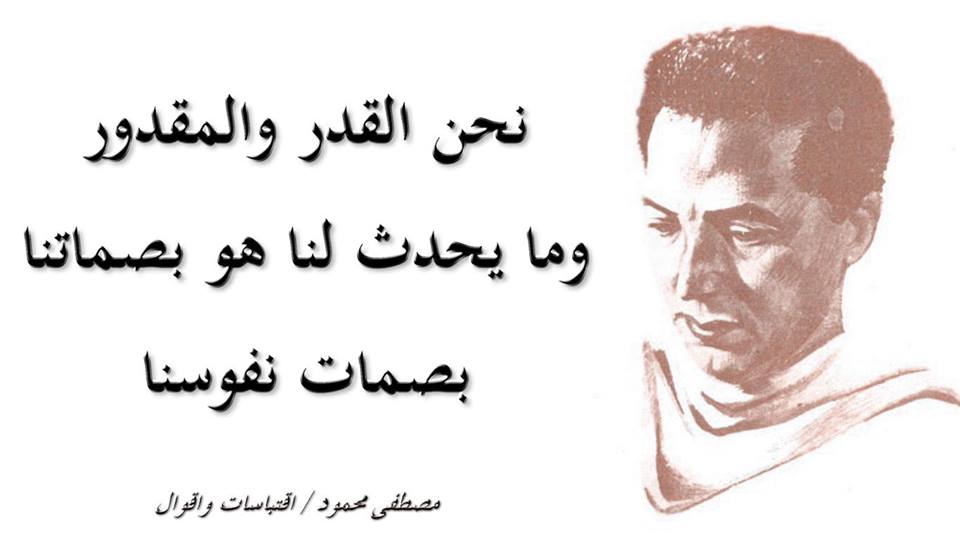  bntpal.com_145944408