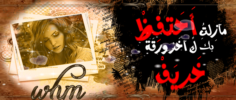 >> .. bntpal.com_145959435