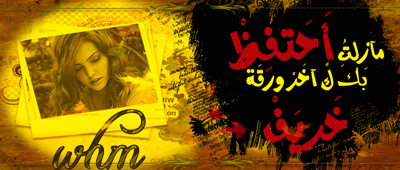 >> .. bntpal.com_145959435