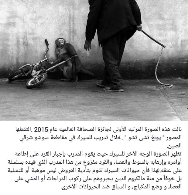 bntpal.com_145960723