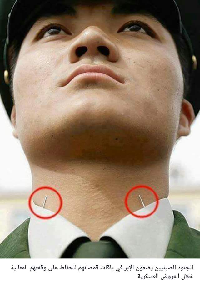 bntpal.com_145960723