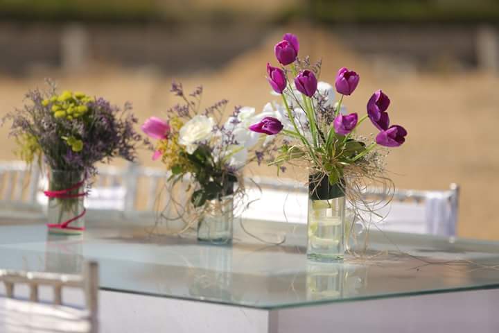    bntpal.com_145960788