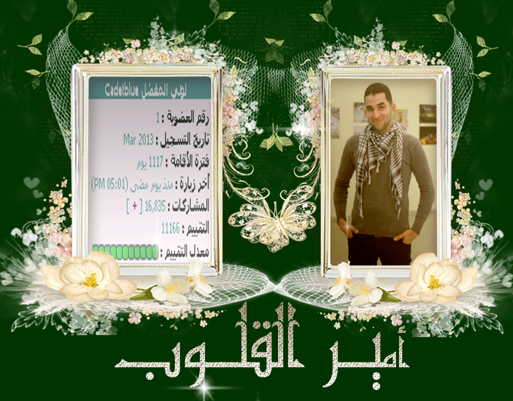 bntpal.com_145966370