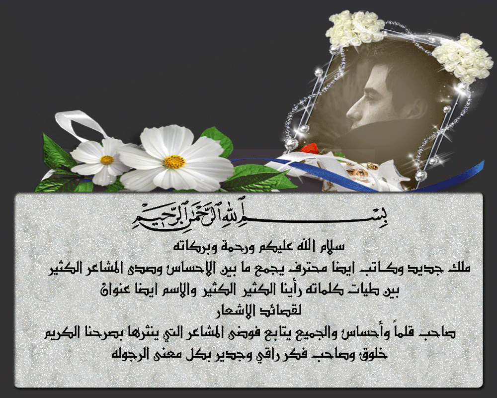 bntpal.com_145974872