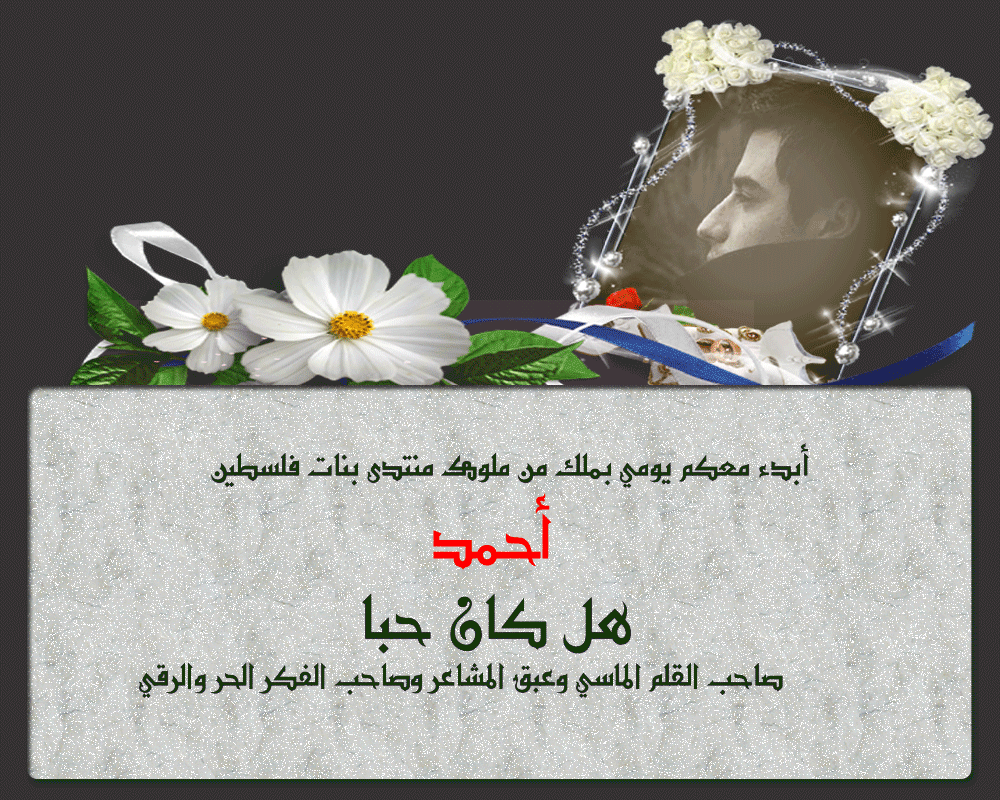 bntpal.com_145974872