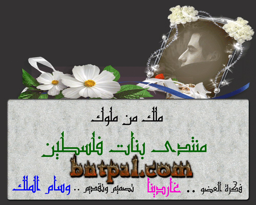 bntpal.com_145975390