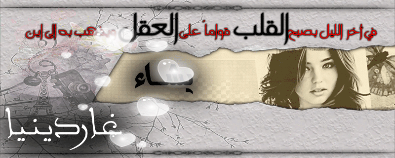  bntpal.com_145975797