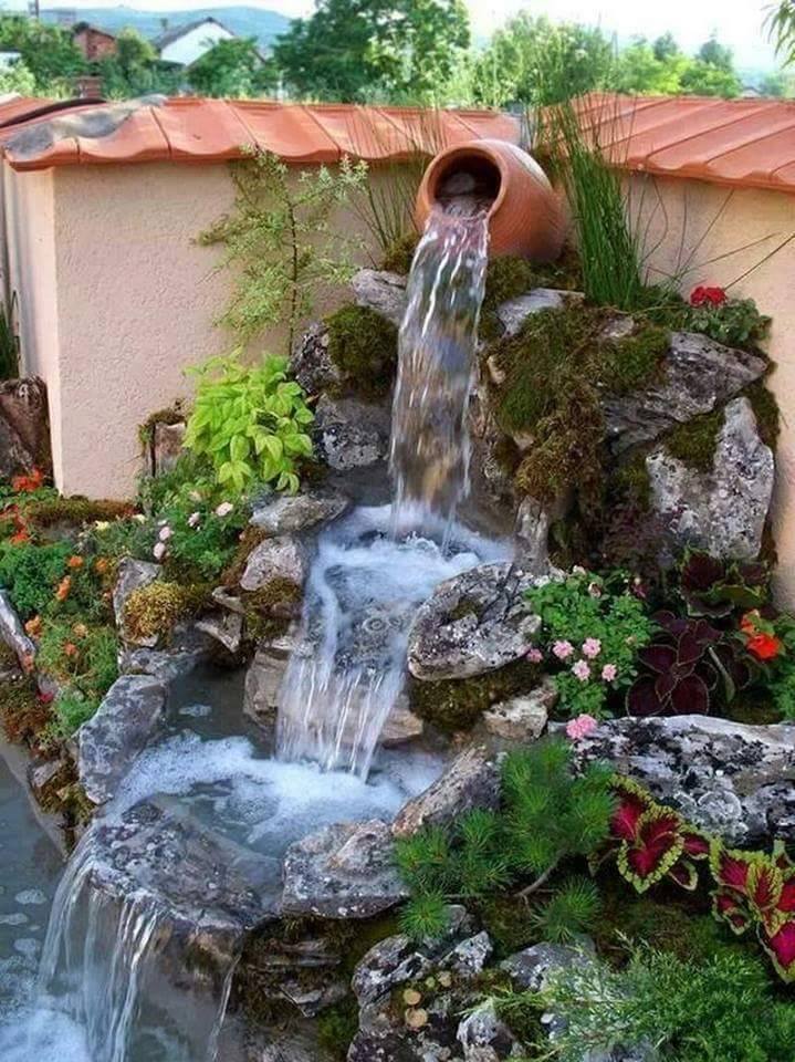 bntpal.com_145978074