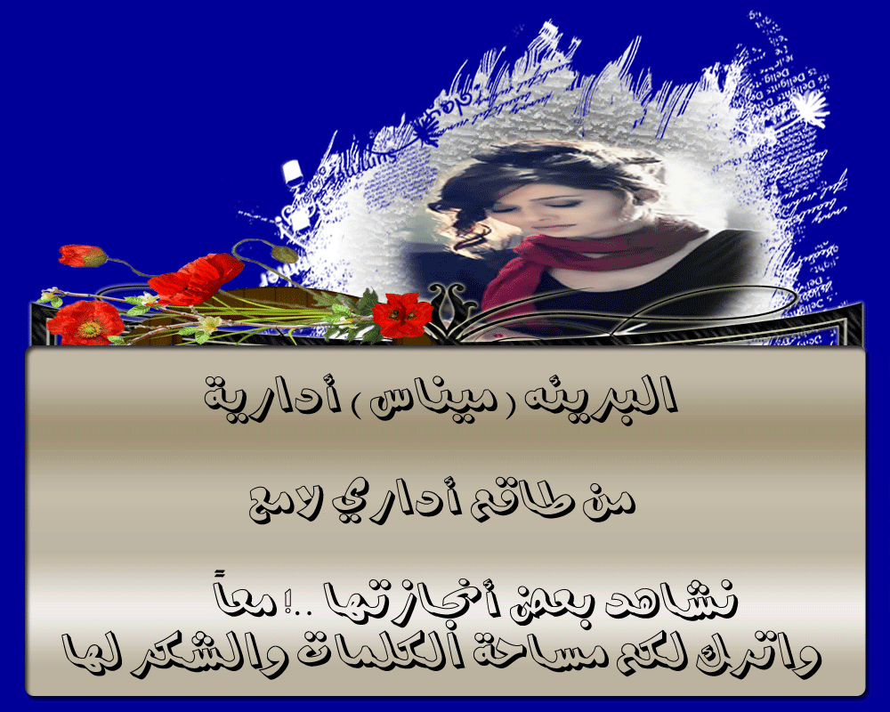 bntpal.com_145984198