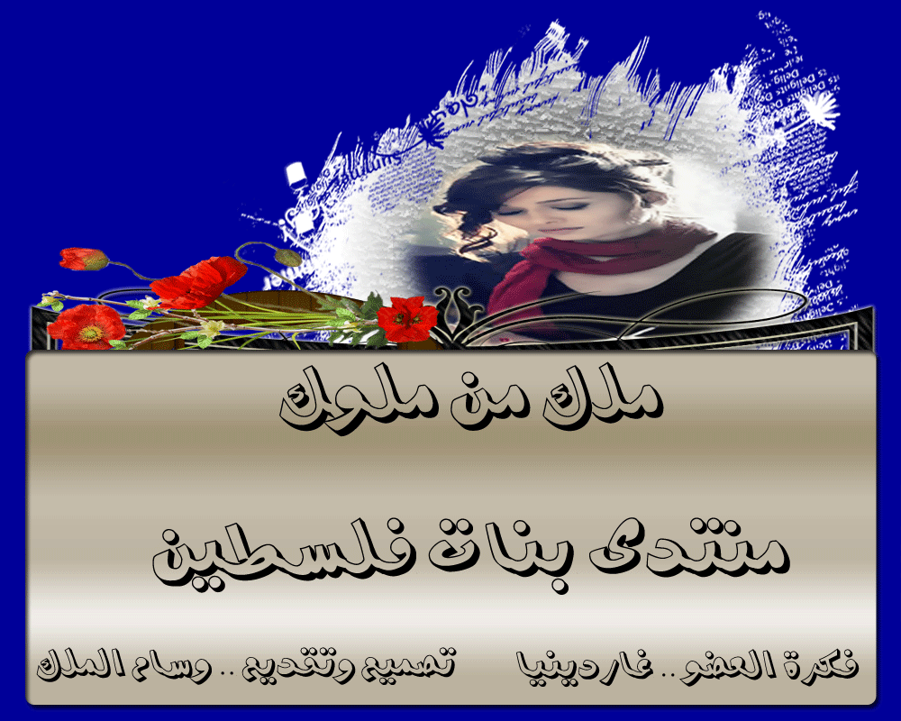 bntpal.com_145984211