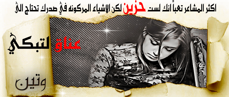 bntpal.com_145991416