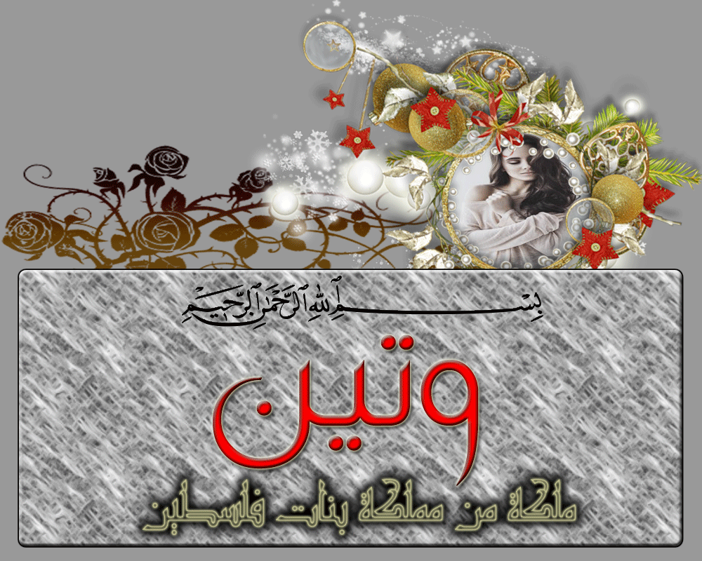 bntpal.com_145991452