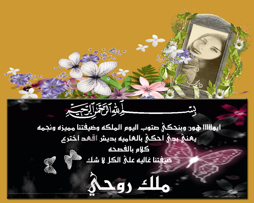 .. bntpal.com_146000444
