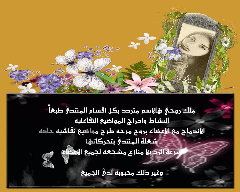 .. bntpal.com_146000444