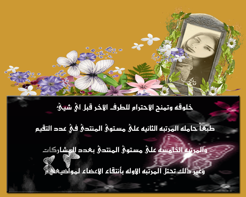 .. bntpal.com_146000461
