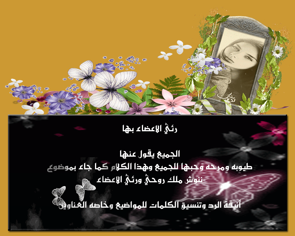 .. bntpal.com_146000477
