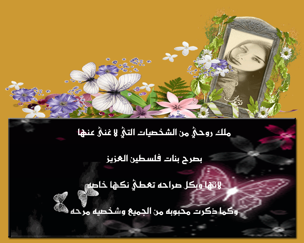.. bntpal.com_146000503