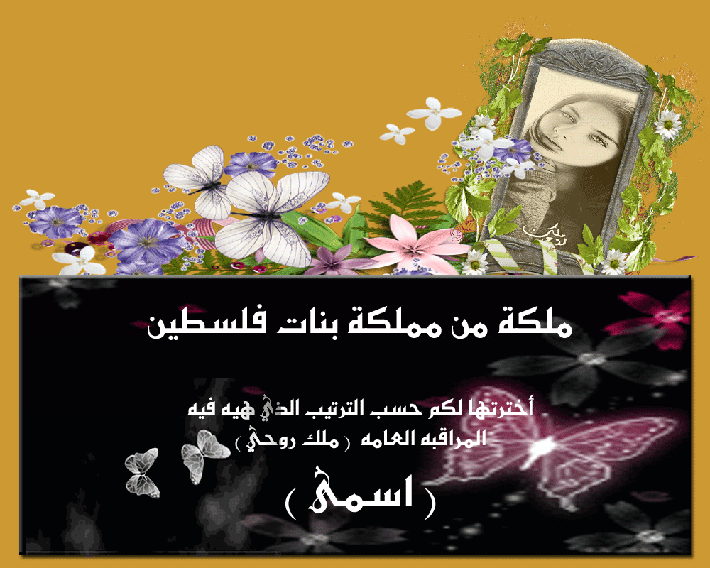 .. bntpal.com_146000503
