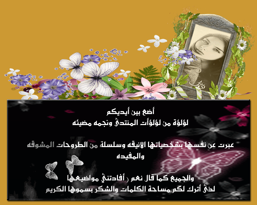 .. bntpal.com_146000503