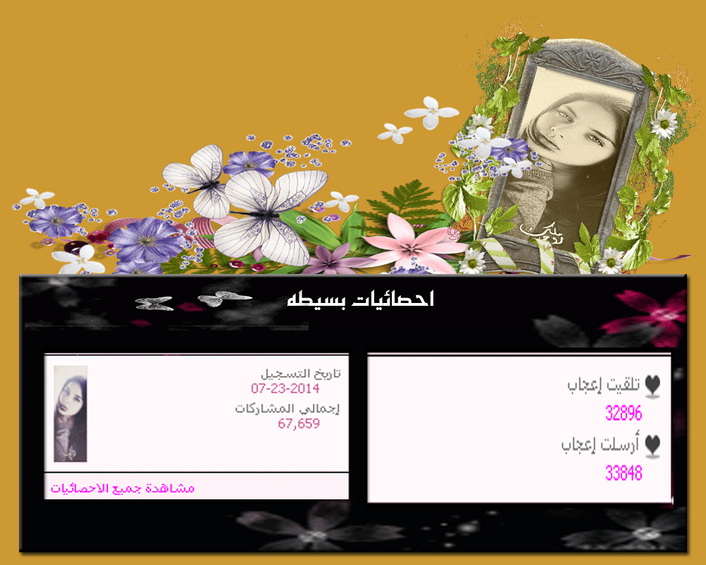 .. bntpal.com_146000530
