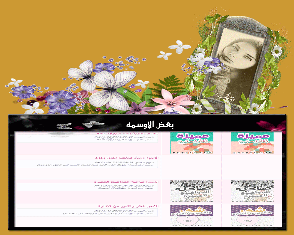 .. bntpal.com_146000530