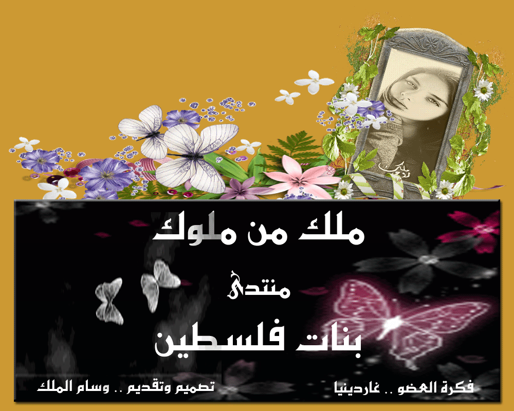 .. bntpal.com_146000530