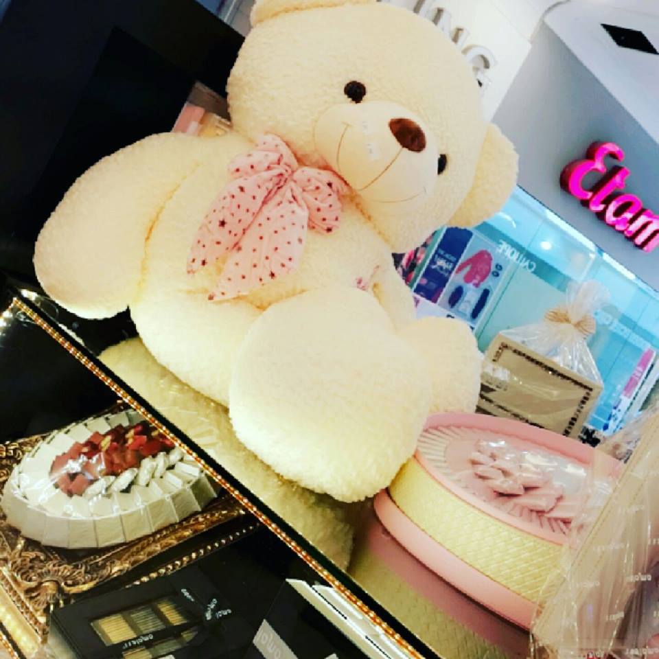    & bntpal.com_146003604