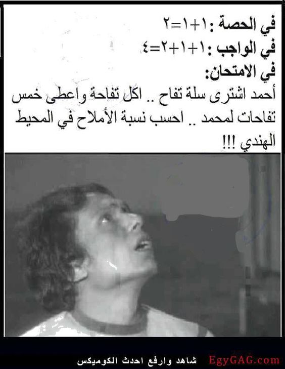 bntpal.com_146014961