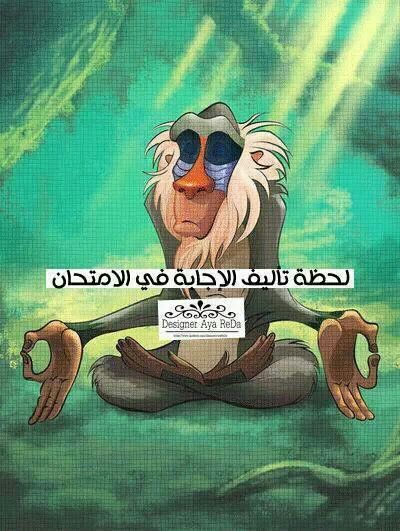 bntpal.com_146014961