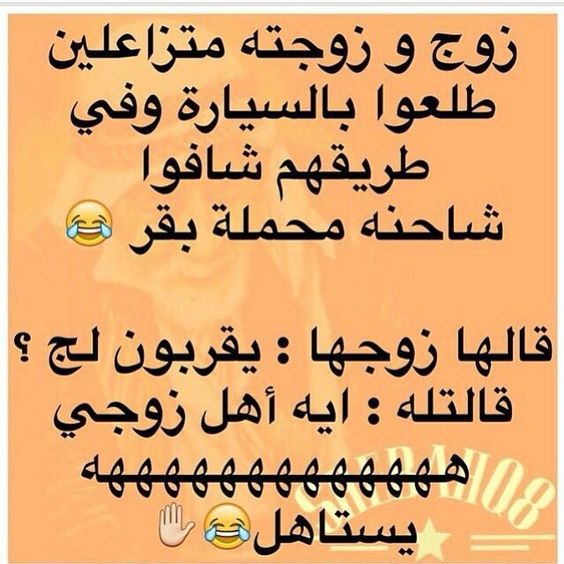bntpal.com_146014969
